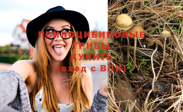 прущая мука Белоозёрский