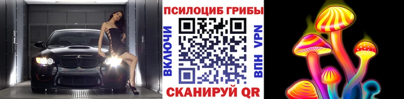 Псилоцибиновые грибы Cubensis  наркотики  Костерёво 